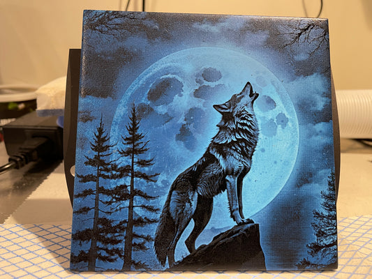 Howling Under a Full Moon